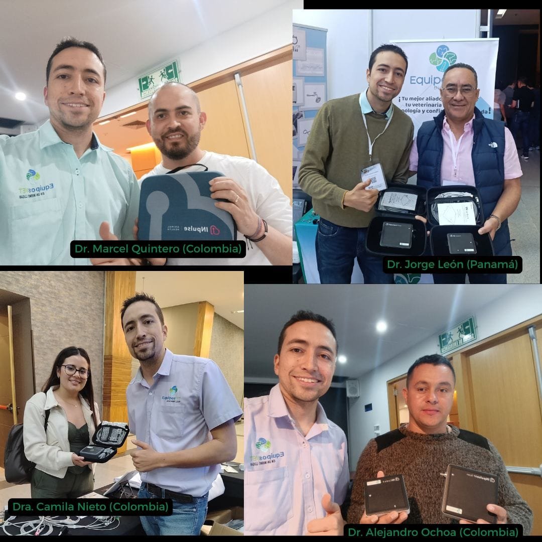 tensiómetro veterinario