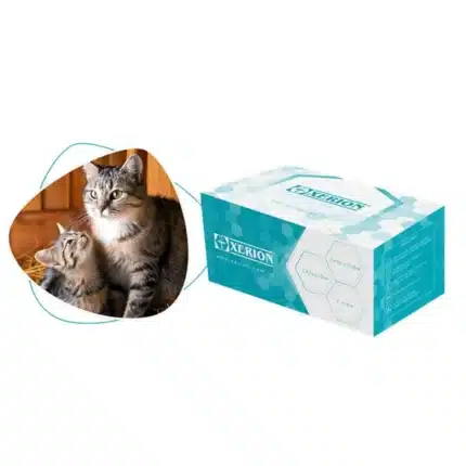 Relaxina Felina RLN Xerion (Preñez)