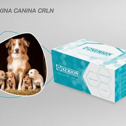 Relaxina Canina RLN Xerion (Preñez)