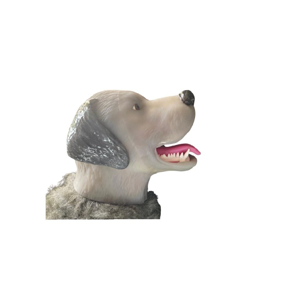 Simulador-canino-RCP+Intubación-endotraqueal-Articulado-tienda-equipos-vet